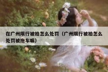 在广州限行被拍怎么处罚（广州限行被拍怎么处罚被拖车嘛）