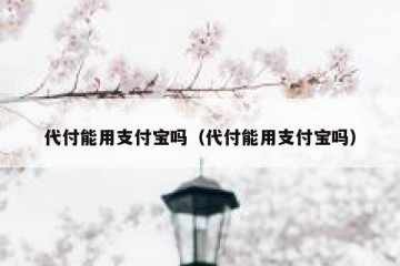 代付能用支付宝吗（代付能用支付宝吗）