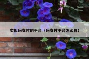 类似码支付的平台（码支付平台怎么样）