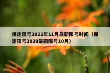 保定限号2022年11月最新限号时间（保定限号2020最新限号10月）
