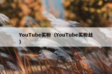 YouTube买粉（YouTube买粉丝）