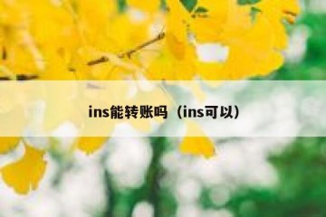 ins能转账吗（ins可以）