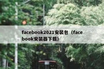 facebook2021安装包（facebook安装器下载）