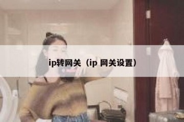 ip转网关（ip 网关设置）