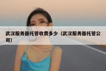 武汉服务器托管收费多少（武汉服务器托管公司）