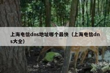 上海电信dns地址哪个最快（上海电信dns大全）