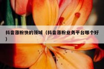 抖音涨粉快的领域（抖音涨粉业务平台哪个好）
