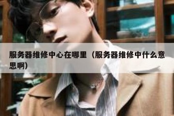 服务器维修中心在哪里（服务器维修中什么意思啊）