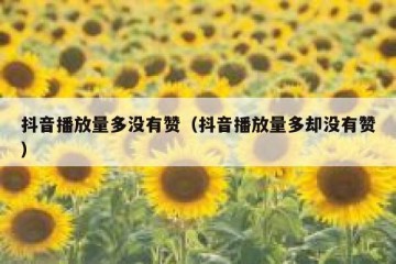 抖音播放量多没有赞（抖音播放量多却没有赞）