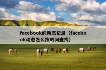 facebook的动态记录（facebook动态怎么按时间查找）