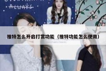推特怎么开启打赏功能（推特功能怎么使用）