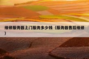 维修服务器上门服务多少钱（服务器售后维修）
