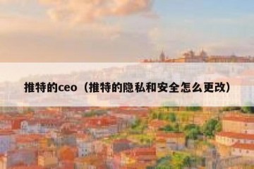 推特的ceo（推特的隐私和安全怎么更改）