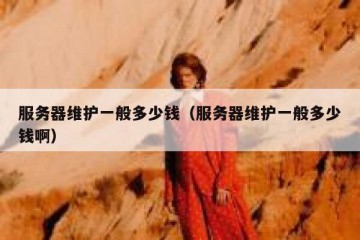 服务器维护一般多少钱（服务器维护一般多少钱啊）