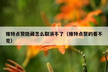 推特点赞隐藏怎么取消不了（推特点赞的看不见）