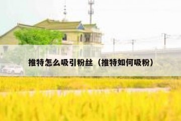 推特怎么吸引粉丝（推特如何吸粉）