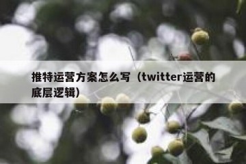 推特运营方案怎么写（twitter运营的底层逻辑）