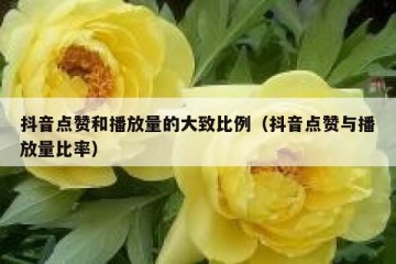 抖音点赞和播放量的大致比例（抖音点赞与播放量比率）