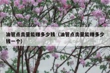油管点击量能赚多少钱（油管点击量能赚多少钱一个）