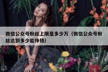 微信公众号粉丝上限是多少万（微信公众号粉丝达到多少能挣钱）