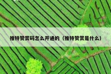 推特赞赏码怎么开通的（推特赞赏是什么）