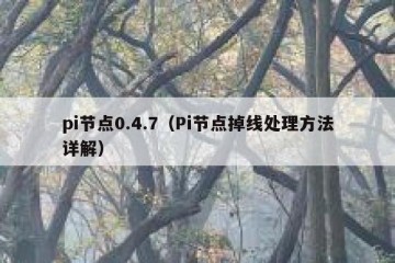 pi节点0.4.7（Pi节点掉线处理方法详解）
