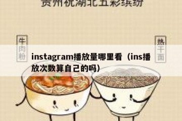 instagram播放量哪里看（ins播放次数算自己的吗）