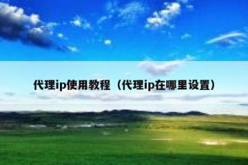 代理ip使用教程（代理ip在哪里设置）