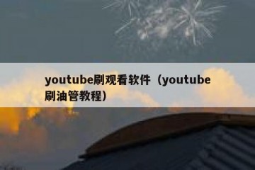 youtube刷观看软件（youtube刷油管教程）