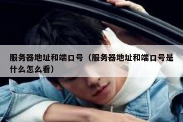 服务器地址和端口号（服务器地址和端口号是什么怎么看）