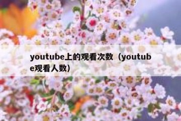 youtube上的观看次数（youtube观看人数）