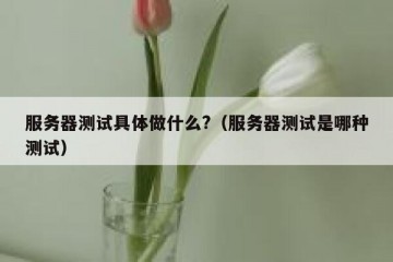 服务器测试具体做什么?（服务器测试是哪种测试）