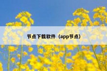 节点下载软件（app节点）