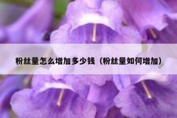 粉丝量怎么增加多少钱（粉丝量如何增加）