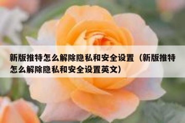 新版推特怎么解除隐私和安全设置（新版推特怎么解除隐私和安全设置英文）