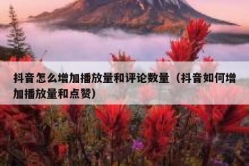 抖音怎么增加播放量和评论数量（抖音如何增加播放量和点赞）