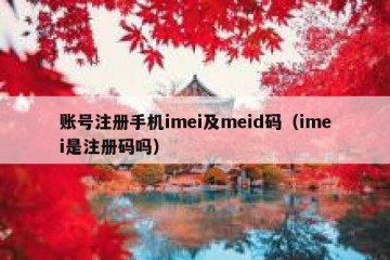 账号注册手机imei及meid码（imei是注册码吗）