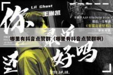 哪里有抖音点赞群（哪里有抖音点赞群啊）