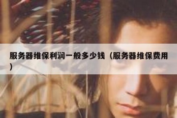 服务器维保利润一般多少钱（服务器维保费用）