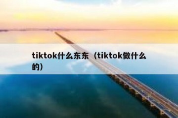 tiktok什么东东（tiktok做什么的）