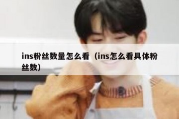 ins粉丝数量怎么看（ins怎么看具体粉丝数）