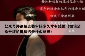 公众号评论精选要审核多久才有结果（微信公众号评论未精选是什么意思）