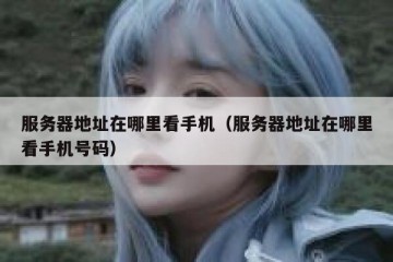 服务器地址在哪里看手机（服务器地址在哪里看手机号码）