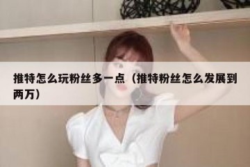 推特怎么玩粉丝多一点（推特粉丝怎么发展到两万）