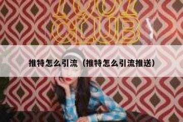 推特怎么引流（推特怎么引流推送）