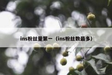 ins粉丝量第一（ins粉丝数最多）