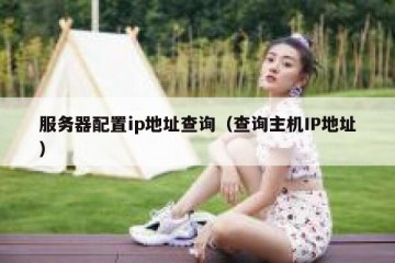 服务器配置ip地址查询（查询主机IP地址）