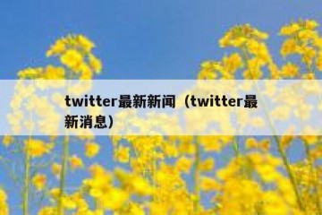 twitter最新新闻（twitter最新消息）