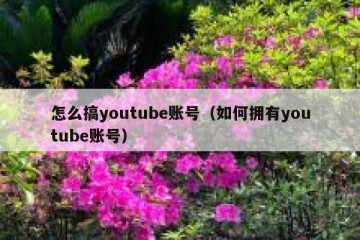 怎么搞youtube账号（如何拥有youtube账号）