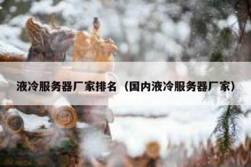 液冷服务器厂家排名（国内液冷服务器厂家）